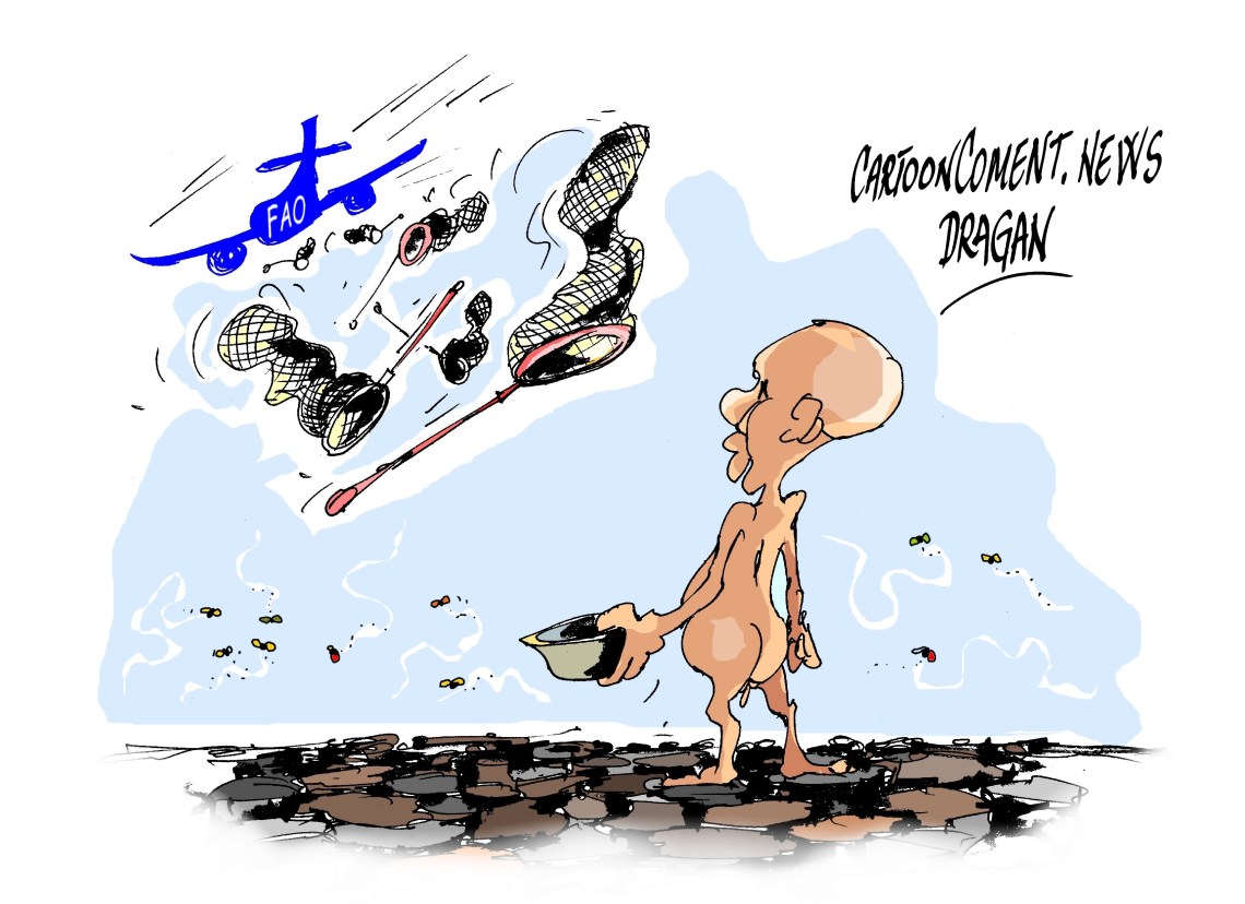  FAO-"animando consumo"