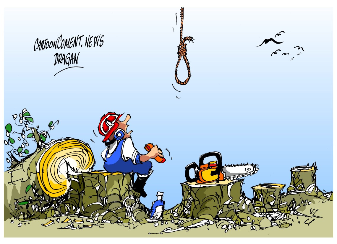 Brasil-"deforestación"