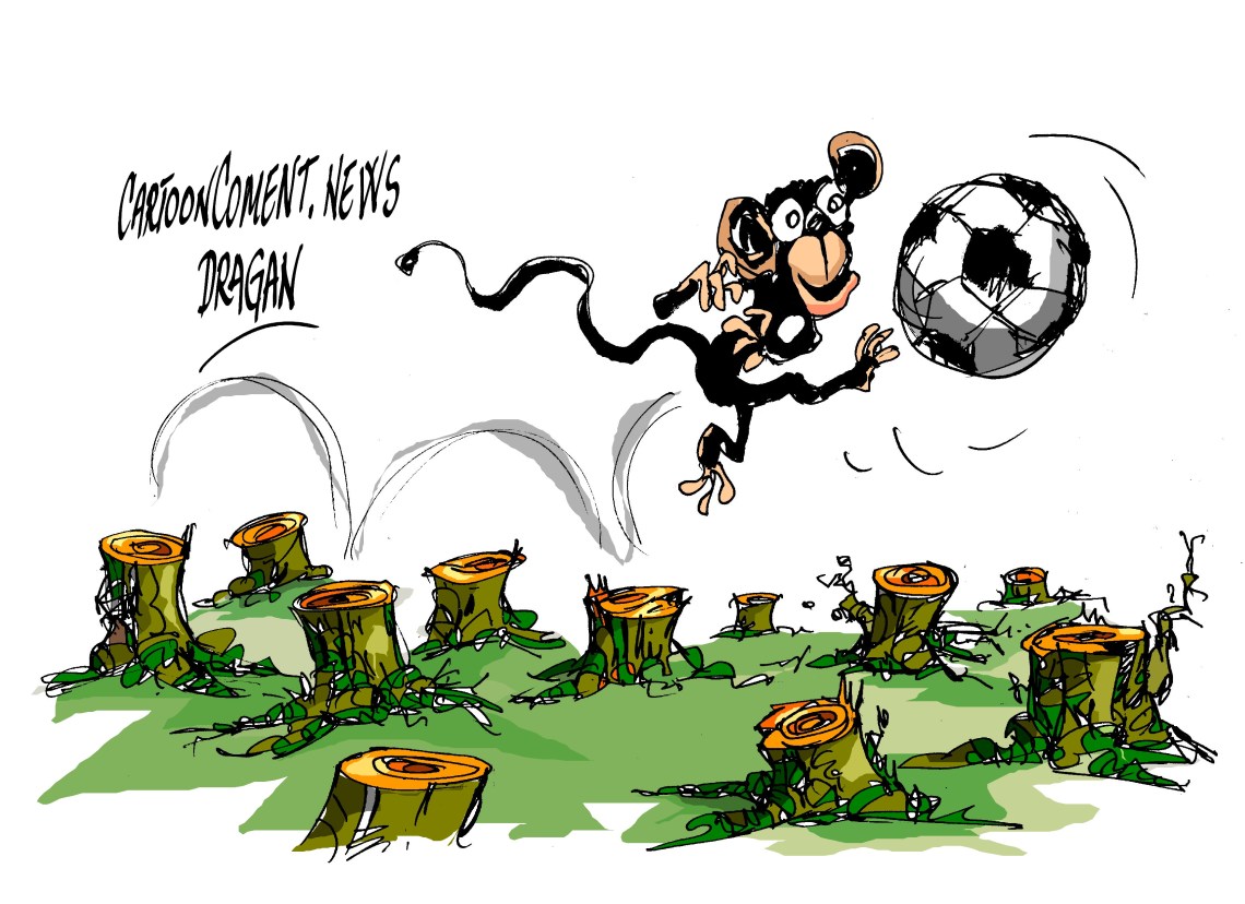 Amazonia brasileña-"campeón"