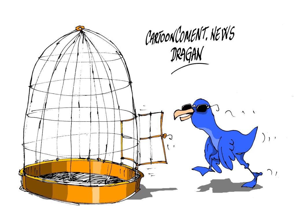 Carlos Fabra-"gaviota-menudo pájaro"